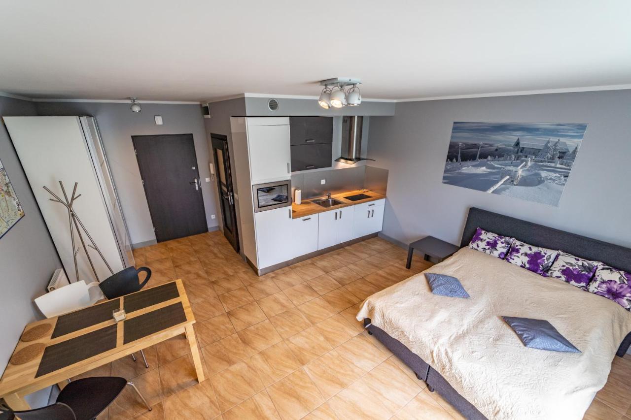 Apartament Zielony Zakatek Swieradow-Zdroj Exterior photo